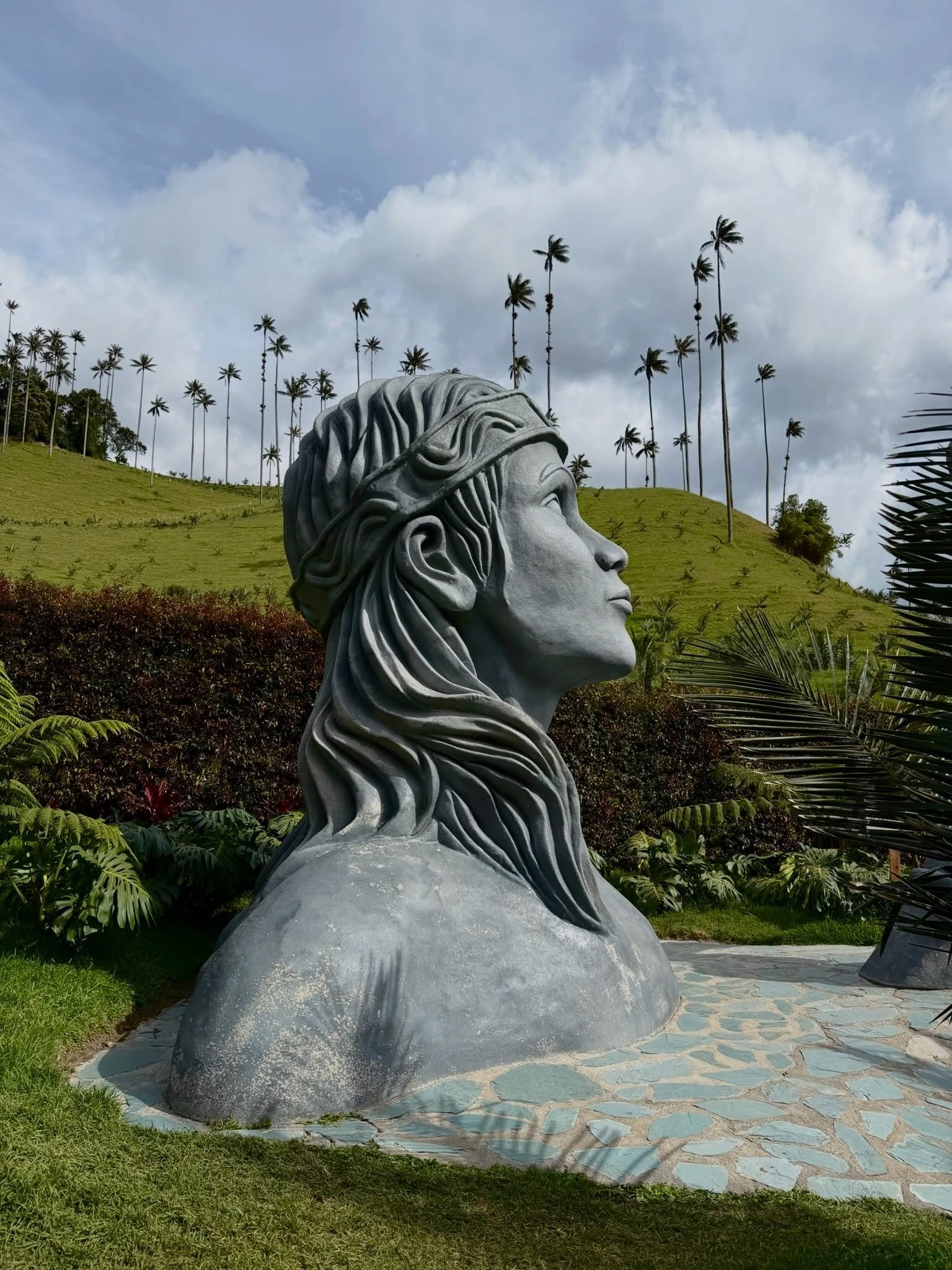 Cocora Valley view