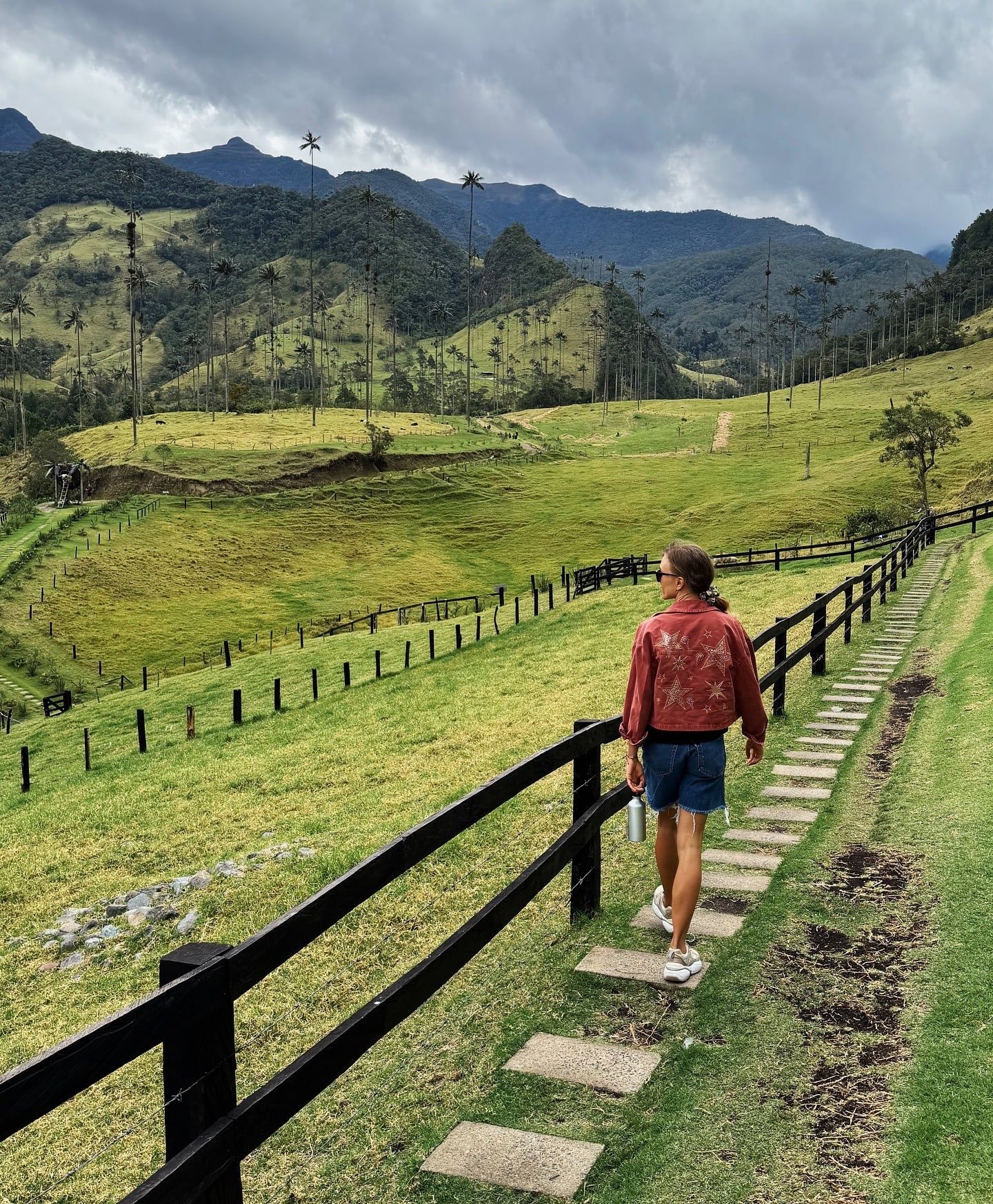 Besucherfoto der Valle de Cocora Tour
