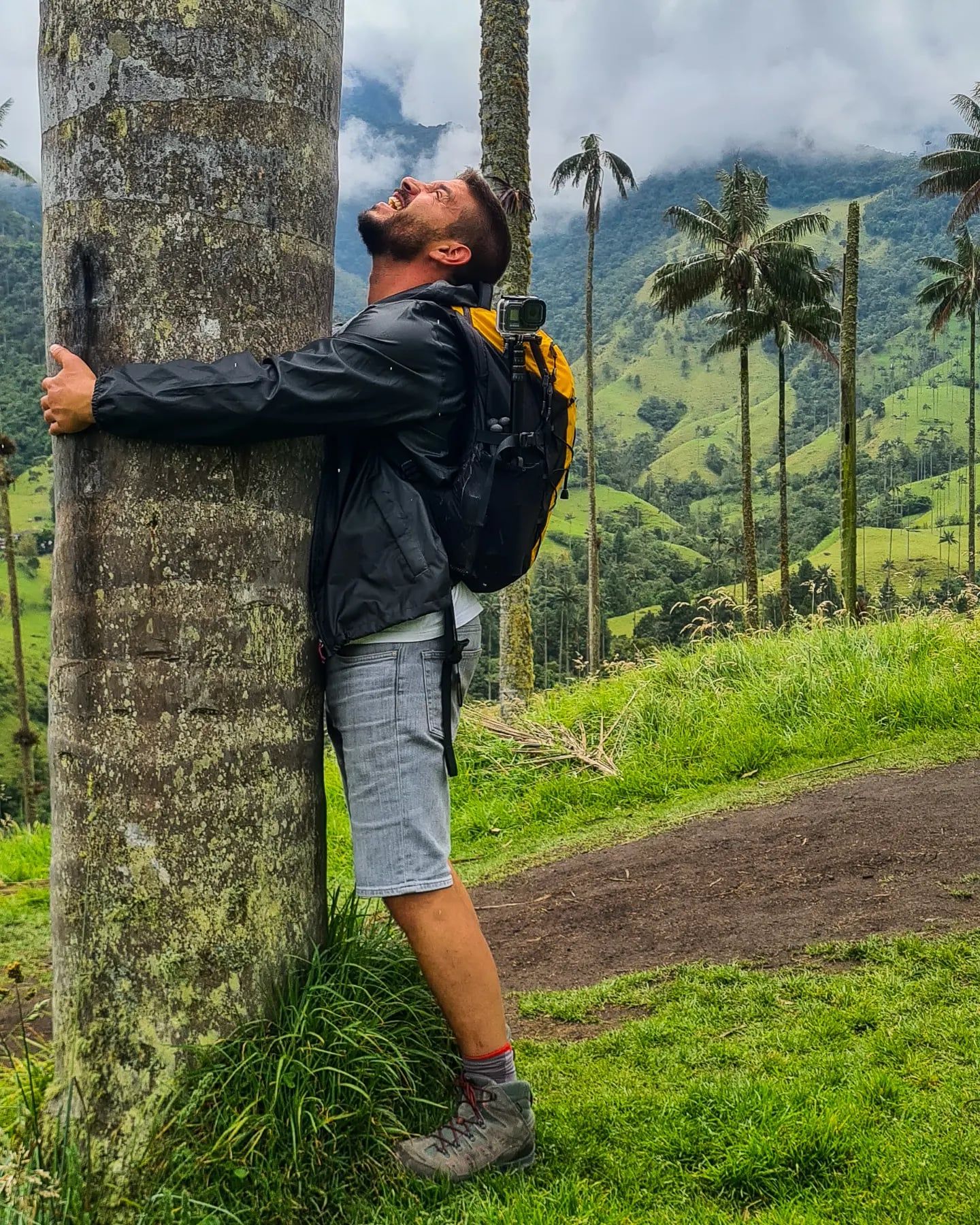 Besucherfoto der Valle de Cocora Tour
