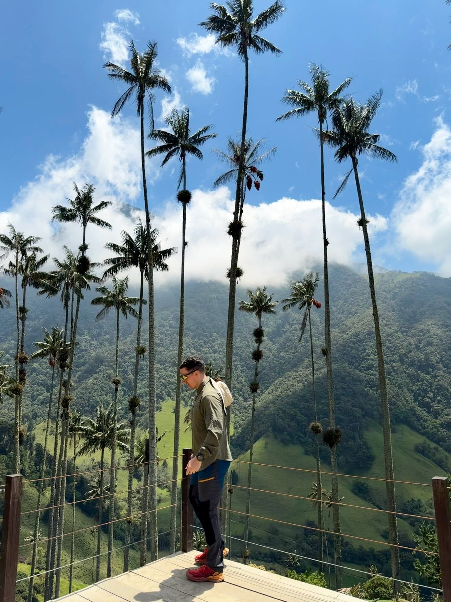Besucherfoto der Valle de Cocora Tour